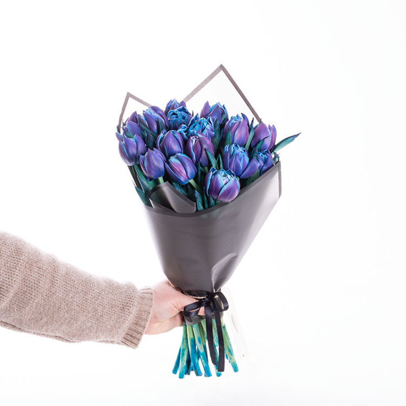 Mavi Mor Galaxy Tulipa Double Bubble Laleler