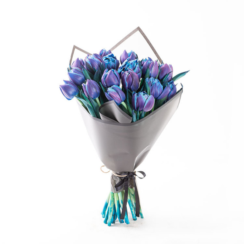 Mavi Mor Galaxy Tulipa Double Bubble Laleler