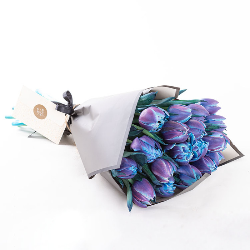 Mavi Mor Galaxy Tulipa Double Bubble Laleler